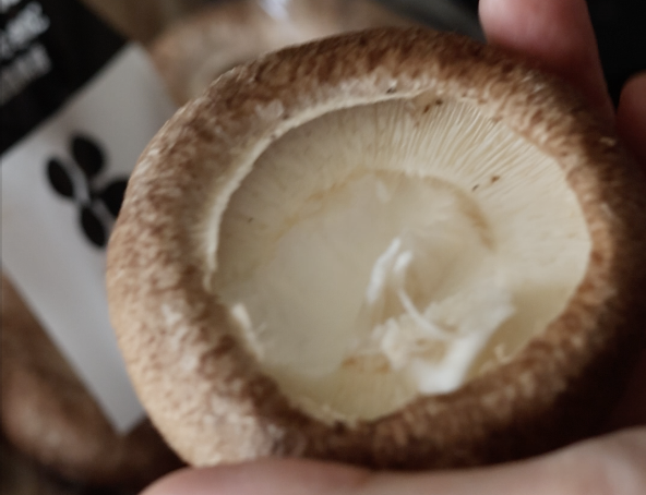 しいたけのガリマヨ焼き作り方（レシピ）