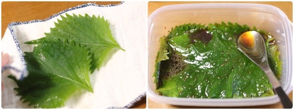 味付け大葉の作り方のポイント