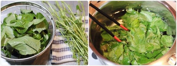 左:洗い水気を切ったモロヘイヤの葉と茎が分かれている状態。右:鍋で沸騰した湯の中にモロヘイヤの葉を入れて茹でている様子。