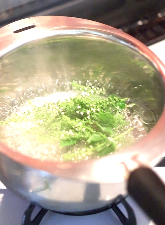 沸騰したお湯が入った鍋に、収穫した穂じそを入れてさっと下茹でしているところ