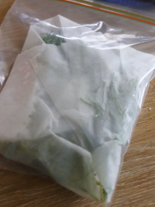 おかひじきの保存は湿らせたペーパーで包んで冷蔵庫の野菜質へ