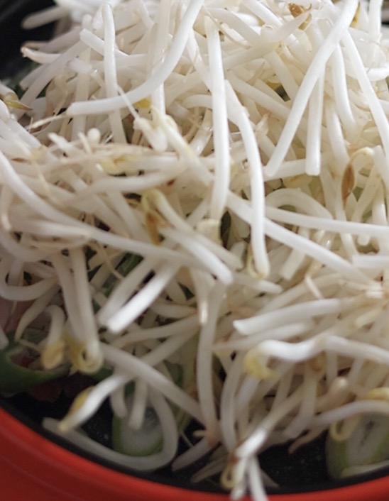 レンジメートプロでもやし炒めを作る方法