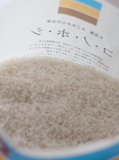 「コ・ノ・ホ・シ」という名前には、兵庫の五国((摂津・播磨・但馬・丹波・淡路)と、これからの未来(この地球)を照らす存在になってほしいという素敵な願いが込められているそうです。