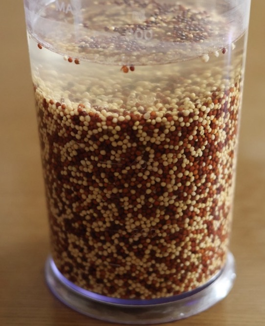 マスタードシードは最低1時間、多くても24時間まで。室温で水に浸します。