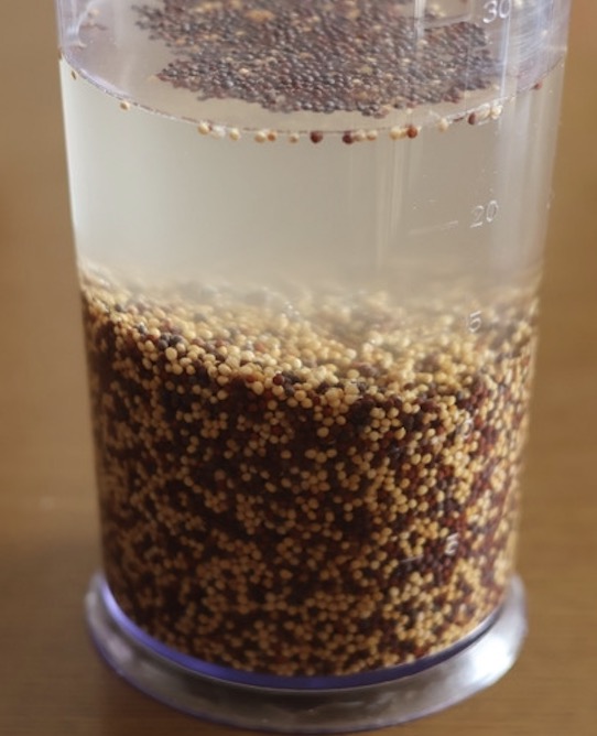 イエローマスタードシードとブラウンマスタードシードをボウルに入れ、たっぷりの水に浸します。しっかり水分を吸わせることで、苦味を抑え、粒を潰しやすくします。