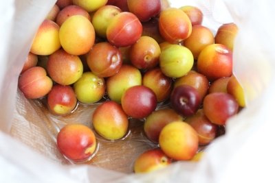 梅シロップの工程（容器をアルコール消毒し、梅もホワイトリカーにくぐらせる（袋に入れて馴染ませる）。