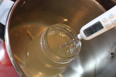 梅シロップが白濁してしまったときの酵母の働きを止める湯煎方法について