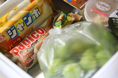 梅の冷凍保存方法について